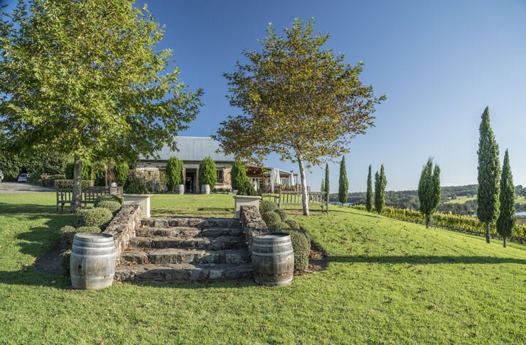 A stone stairway on a green lawn leading towards a vineyard restaurant