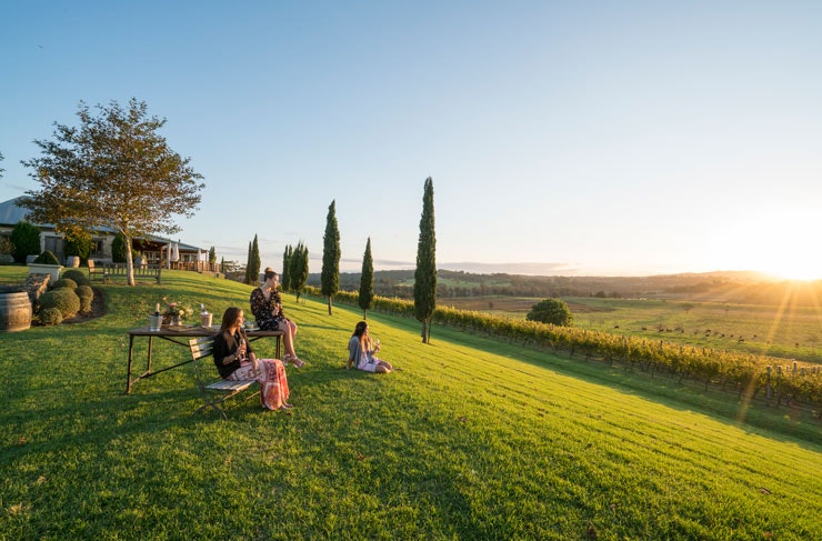 Three people on a green lawn overlooking vines and the sunset in the distance