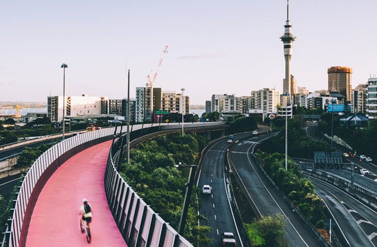 Wheely Fun | Where To Cycle In Auckland