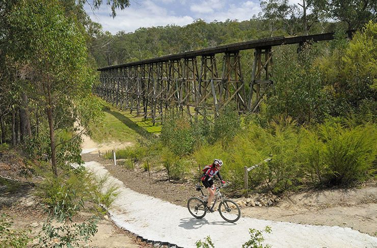 6 Bike Trails You Need To Hit In East 