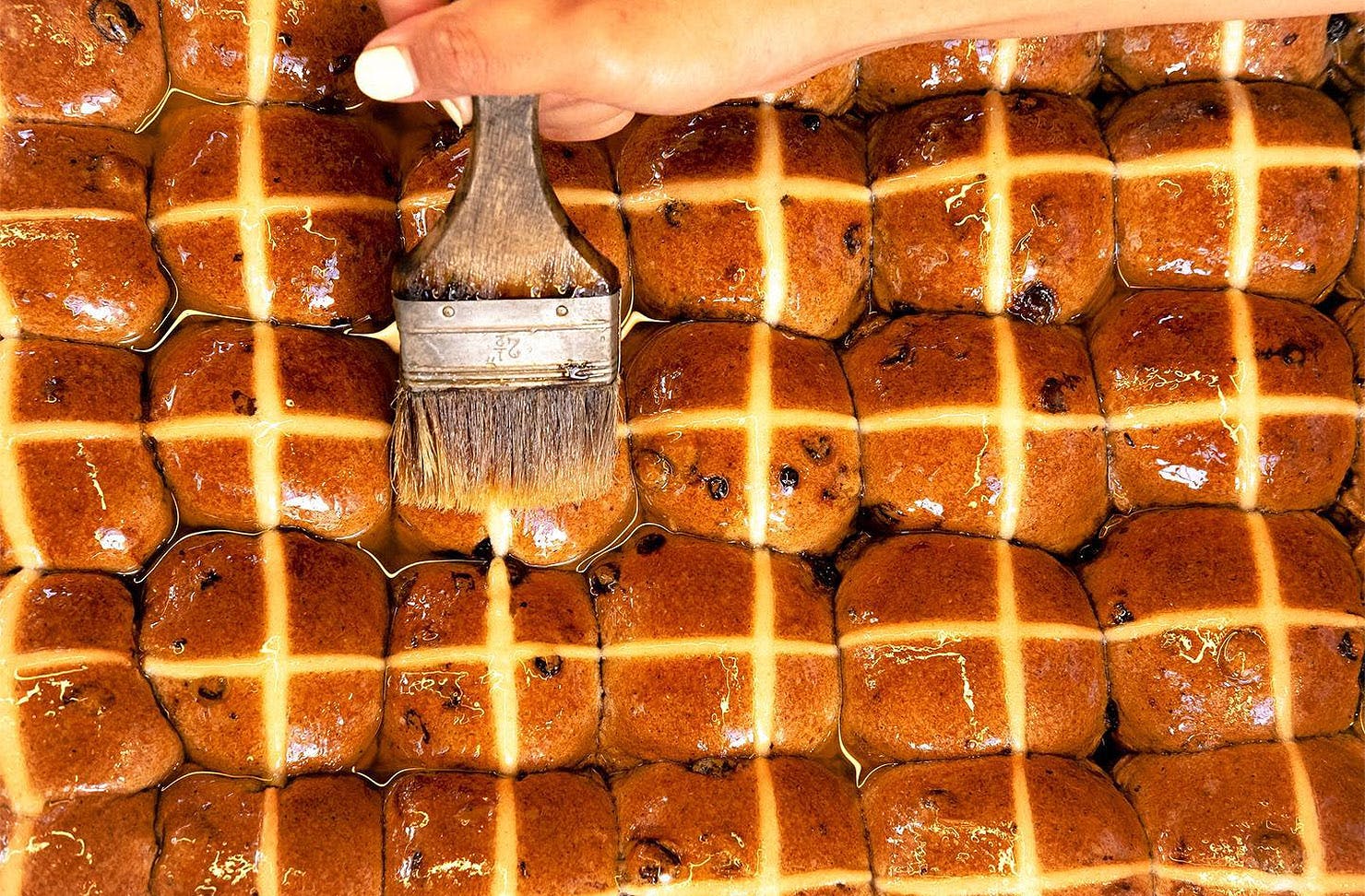 Rows of hot cross buns at Daily Bread.