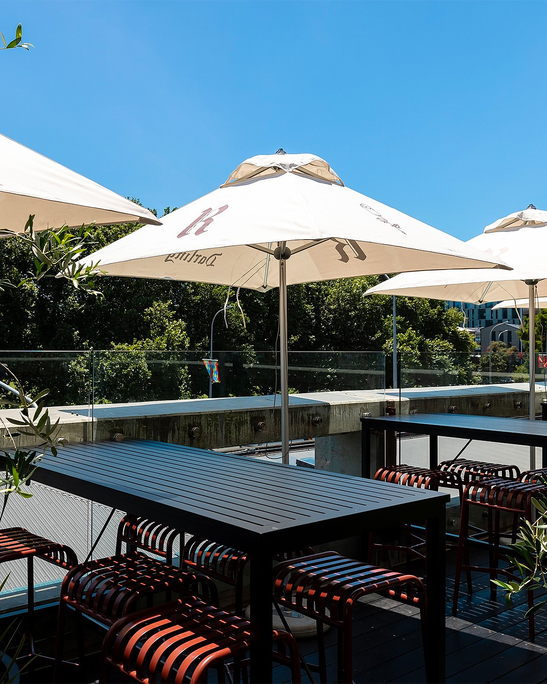The rooftop bar Darling on Drake with sun umbrellas and cool seating.