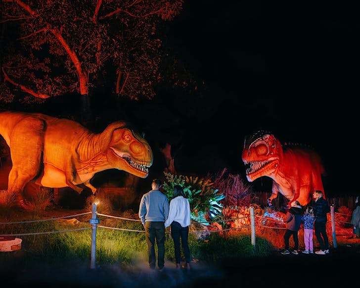 People gaze at massive orange light-up dinosaurs at Auckland Zoo at night.