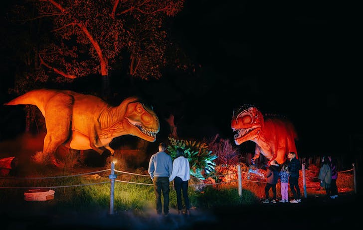 People gaze at massive orange light-up dinosaurs at Auckland Zoo at night.