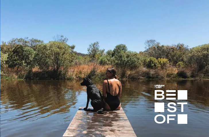 A dog and owner at a camping ground near Perth WA