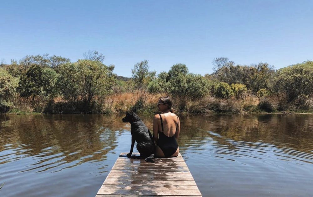 The Best DogFriendly Camping Spots In WA URBAN LIST PERTH