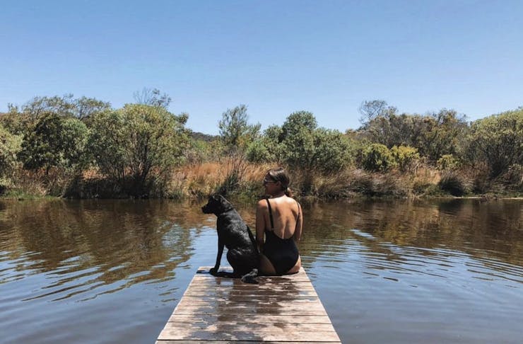 dog-friendly camping site in WA