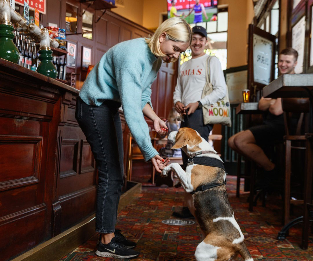 A dog gets a treat at the Australian Heritage Hotel, a dog-friendly hotel in Sydney