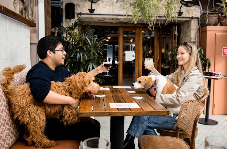 Dog Friendly Pubs Sydney