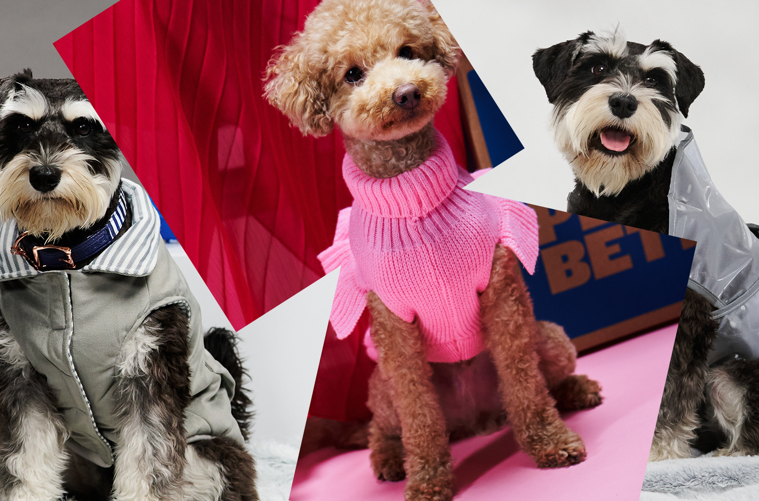 Pets | URBAN LIST BRISBANE