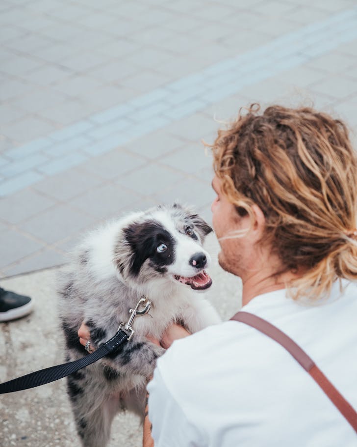 dog friendly cafes sydney next door cronulla