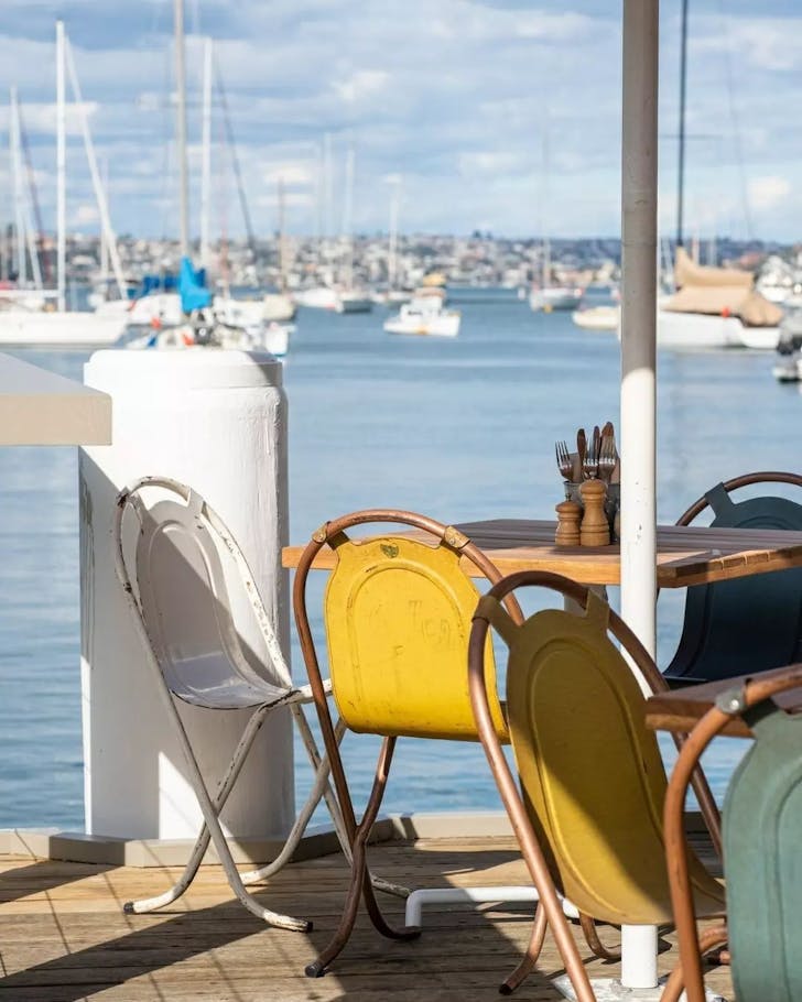 dog friendly cafes sydney the flying bear