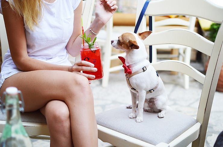 A woman sits next to a little dog wearing a red bow tie