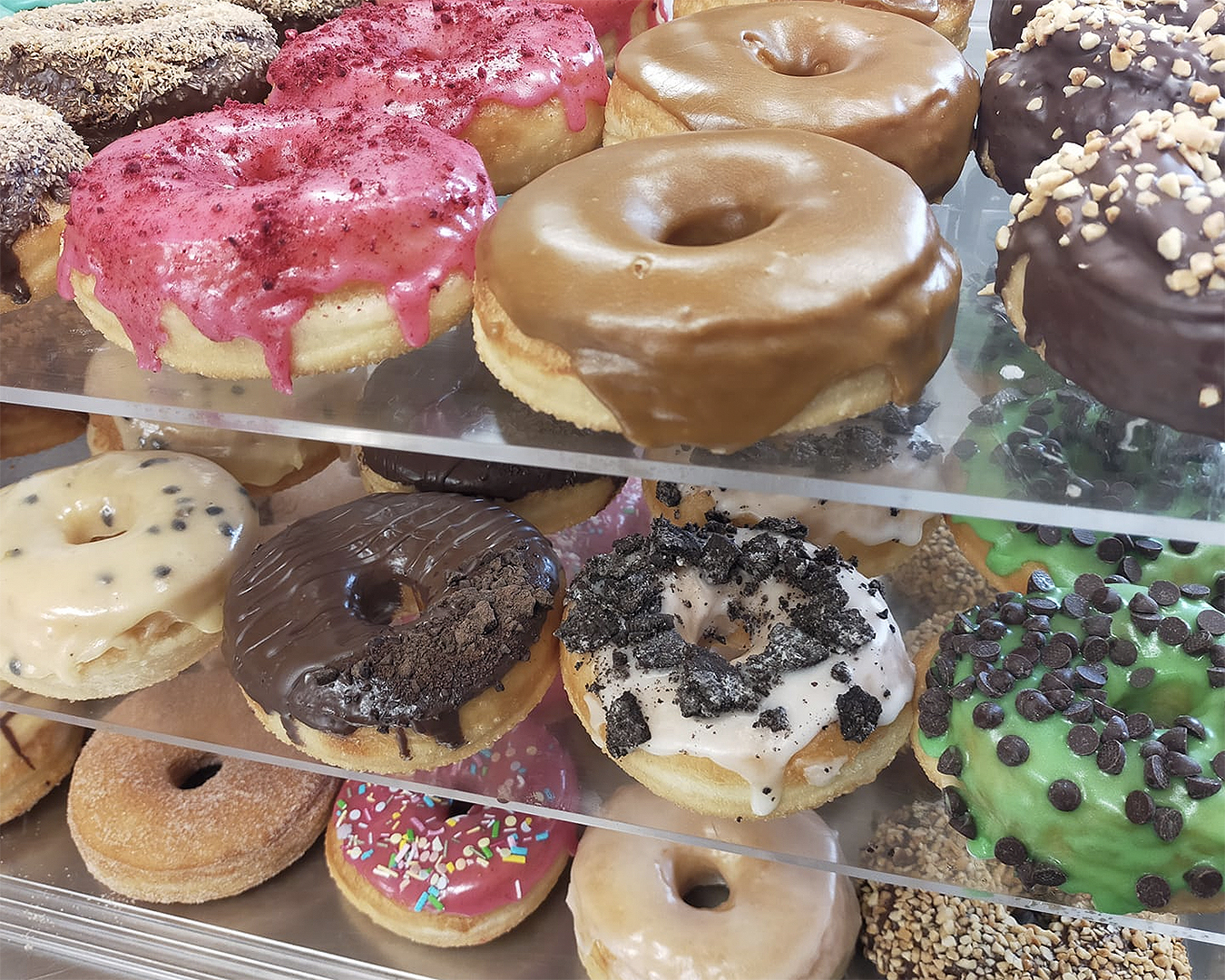 A dizzying array of doughnuts at Doughnut Haus.