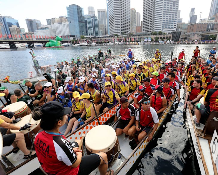 dragon boat festival lunar new year darling harbour 2024