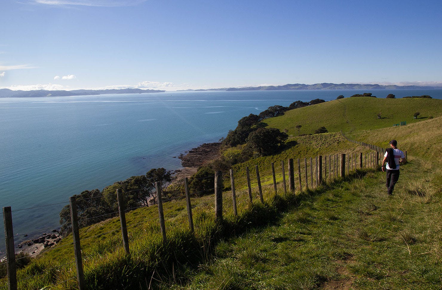 A man looks out to sea as he walks along Duder regional park.