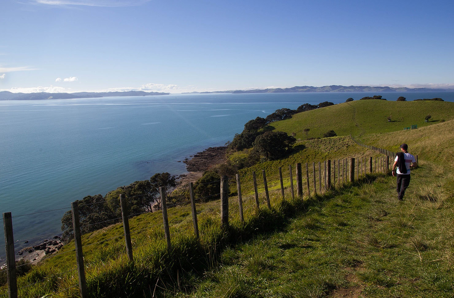A man looks out to sea as he walks along Duder regional park.
