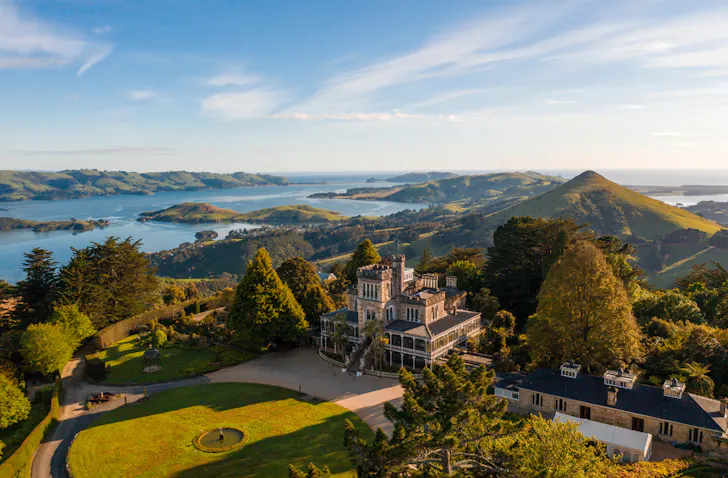 Dunedin birds eye view