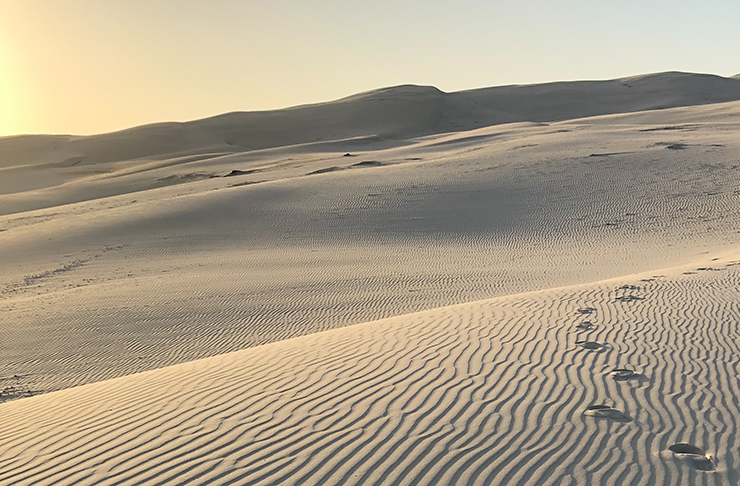 Footsteps in white sand dunes drenched in warm, afternoon sun.