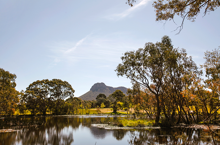 The tranquil waterways on a clear day at the Dunkeld arboretum.