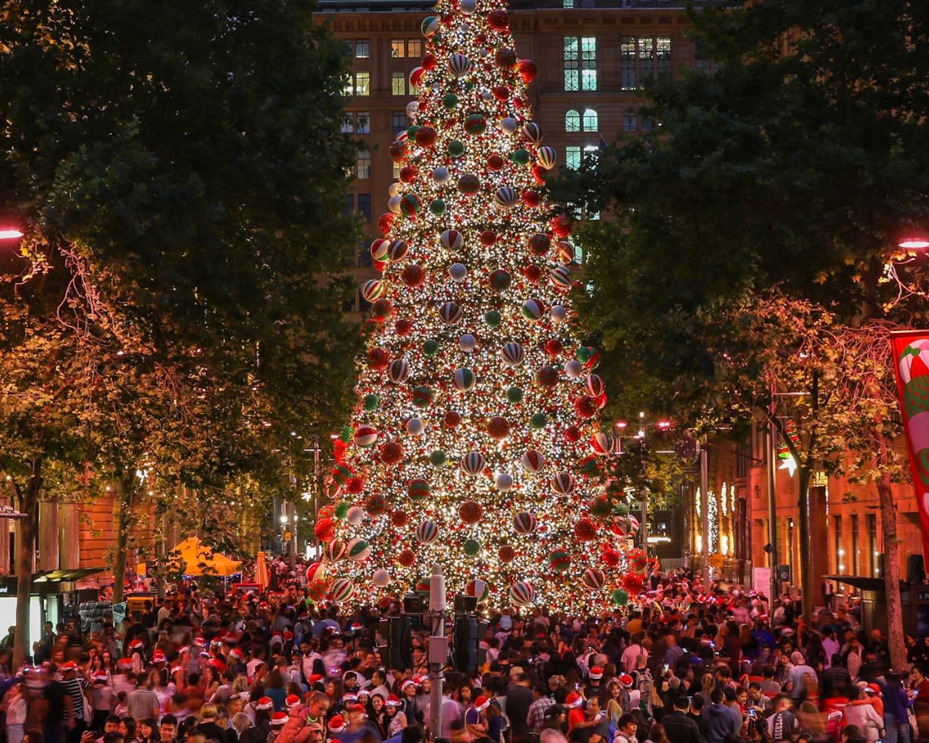 The Best Christmas Lights In Sydney To See In 2024 | URBAN LIST SYDNEY