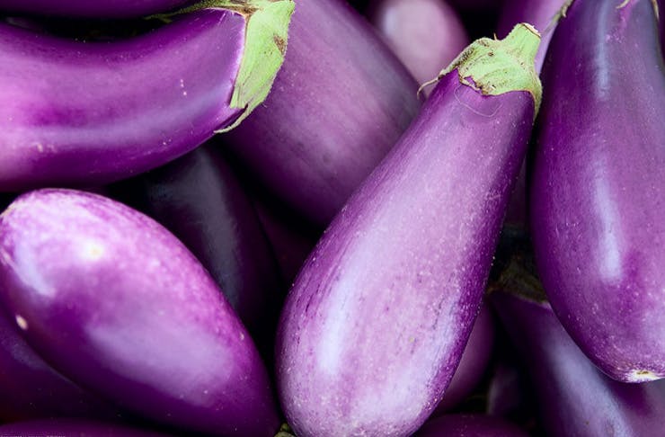 eggplant delivery