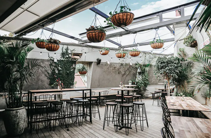 The leafy rooftop bar, called Elm Rooftop, at The Taphouse in Sydney. 
