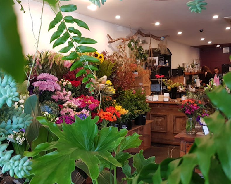 Elwood Flowers URBAN LIST MELBOURNE