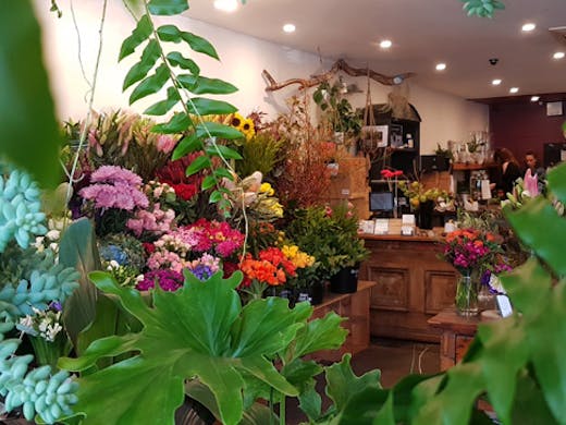 elwood-florist-melbourne