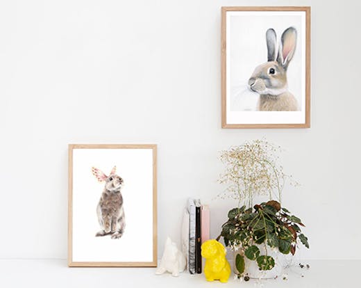 endemic world auckland, art prints auckland, interior design auckland, art shop ponsonby