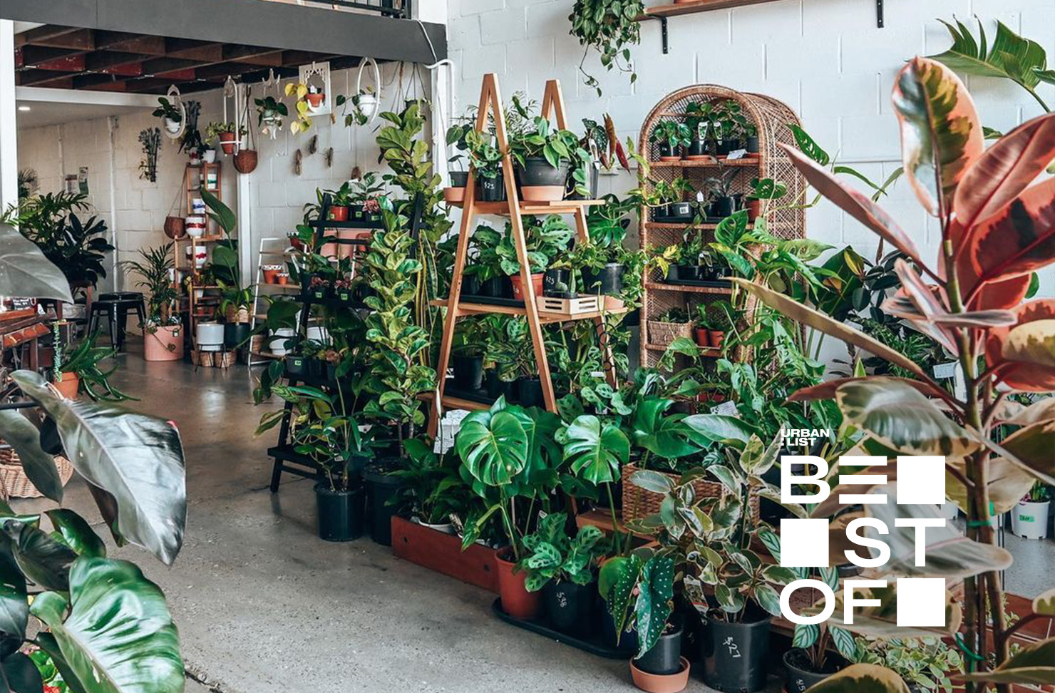 15 Of The Best Nurseries And Plant Shops In Brisbane URBAN LIST BRISBANE