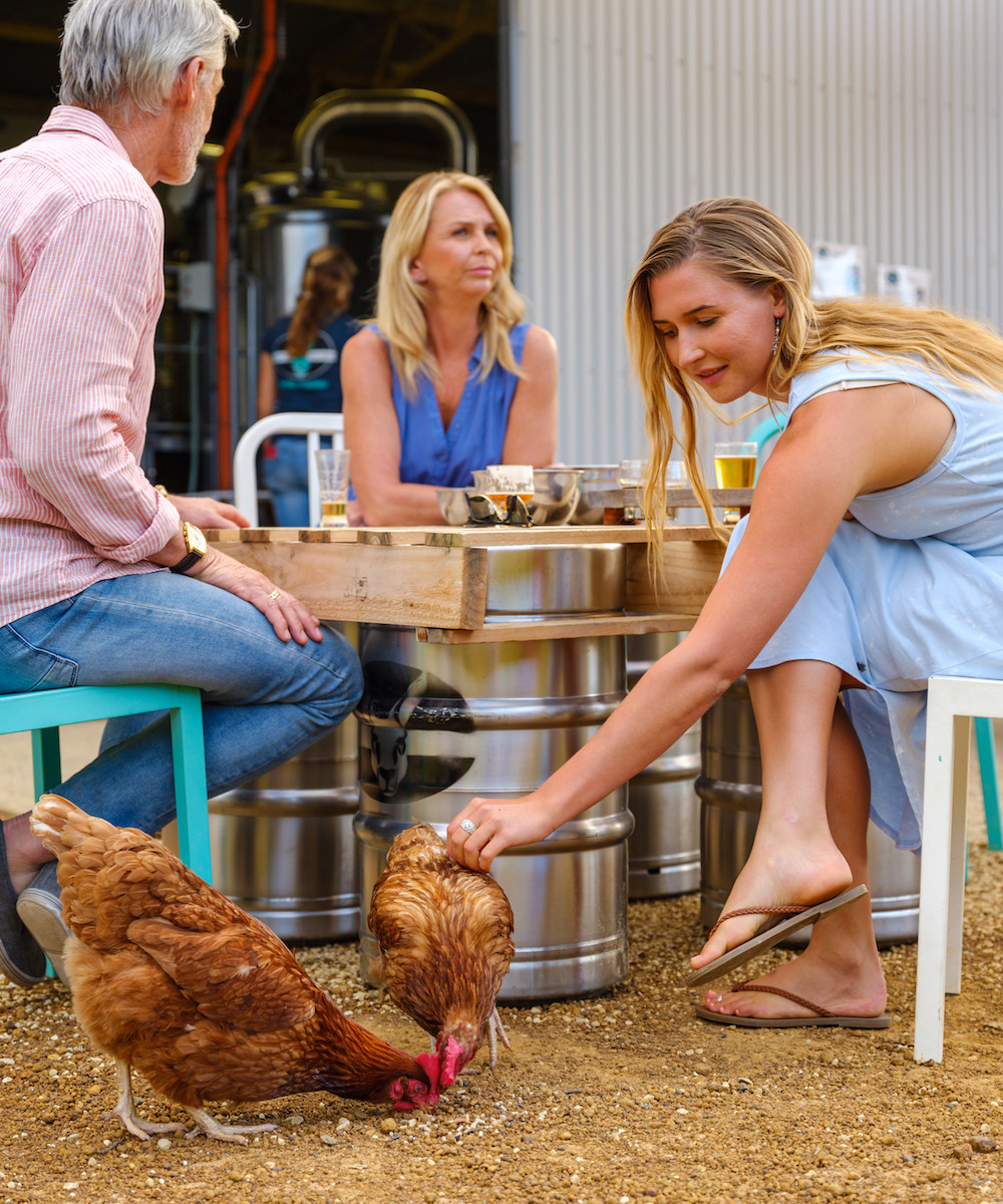 a woman pats a chicken outside a brewery in Esperance