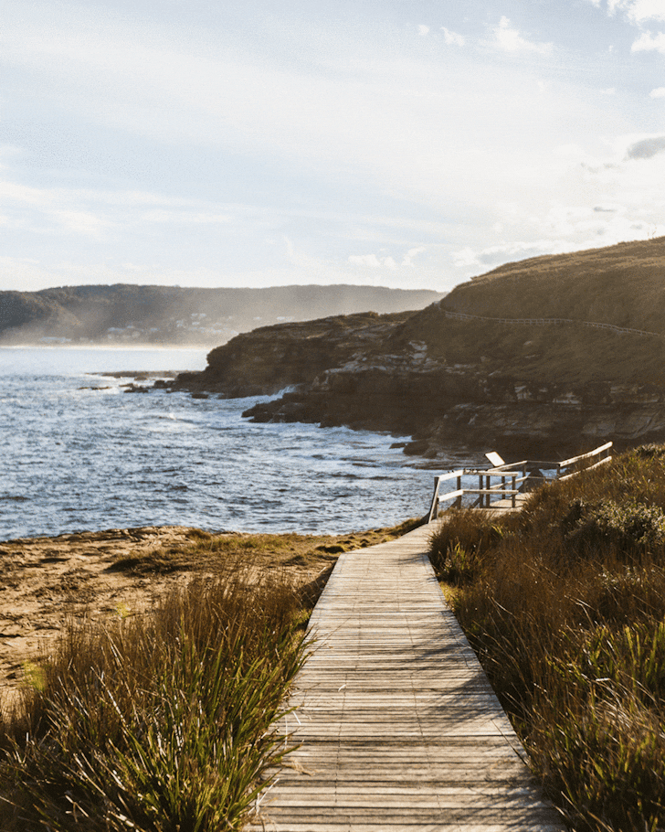 Central Coast Coastal Walk Bouddi National Park, Feed A Horse At Glenworth Valley