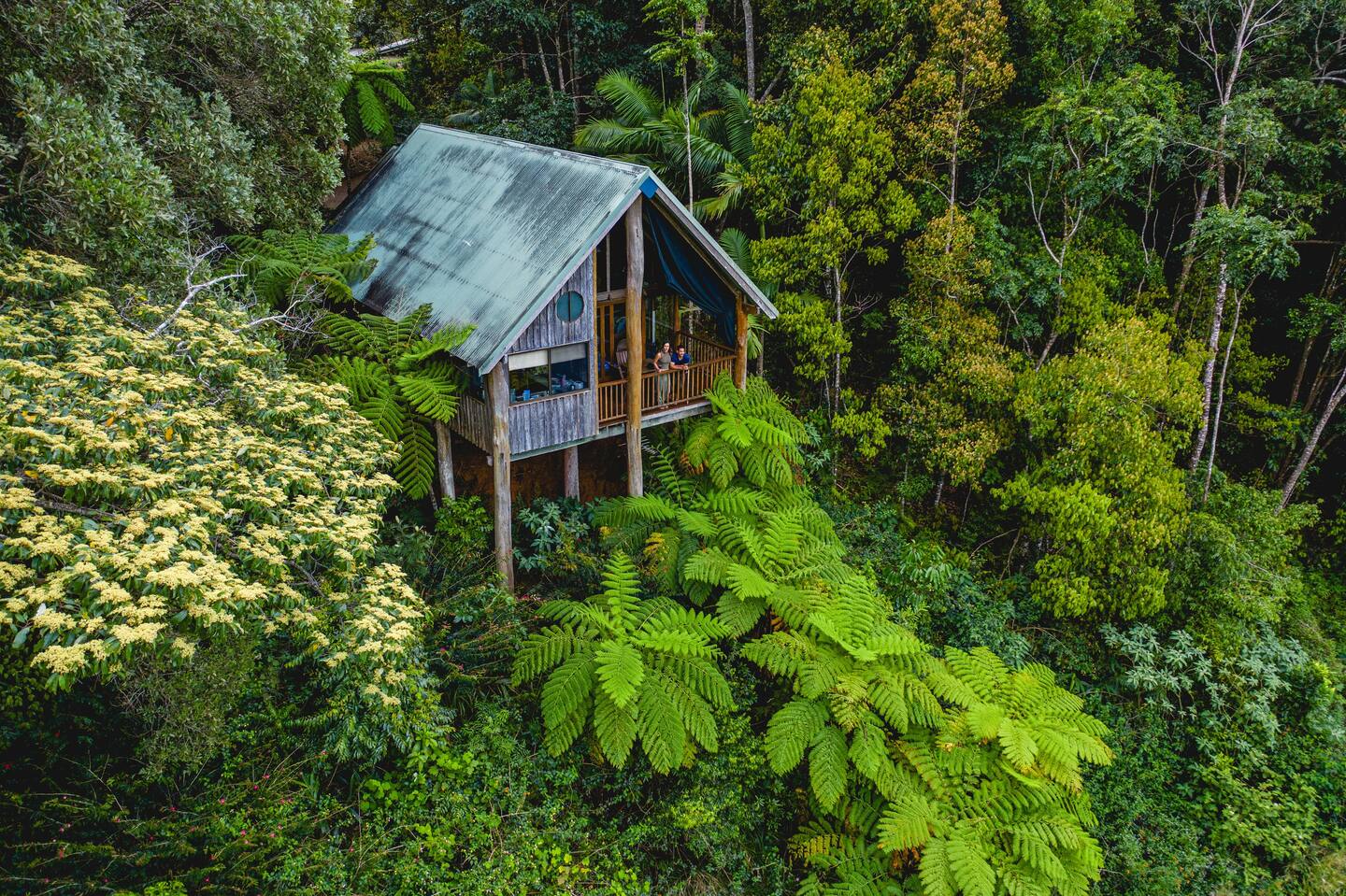 a house amongst a forest