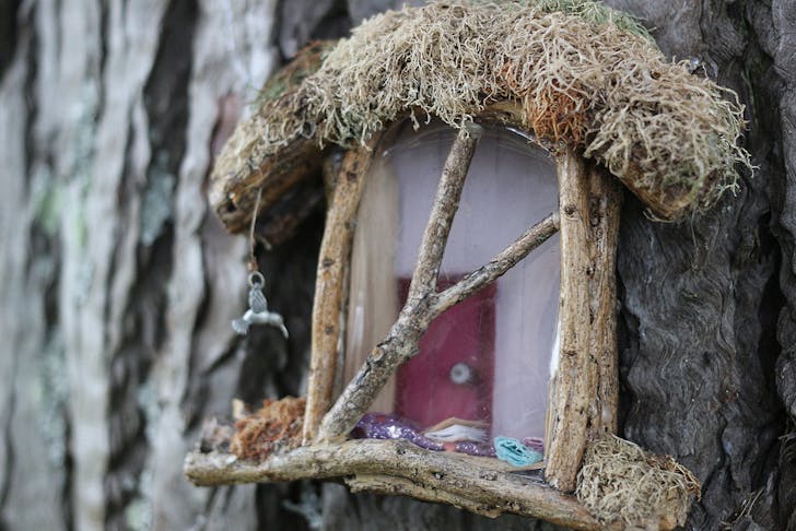 A darling fairy house at Hobsonville Point