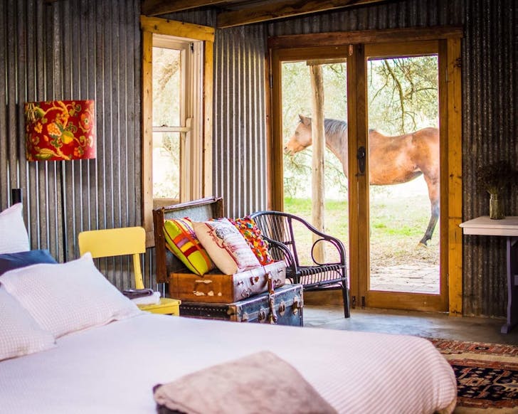 A horse stands outside the bedroom window of The Shearing Shed farm stay in NSW