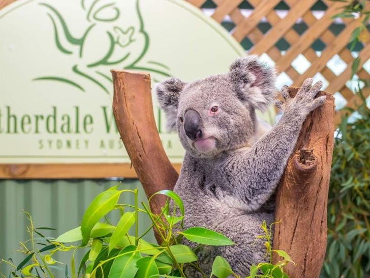 featherdale sydney wildlife park