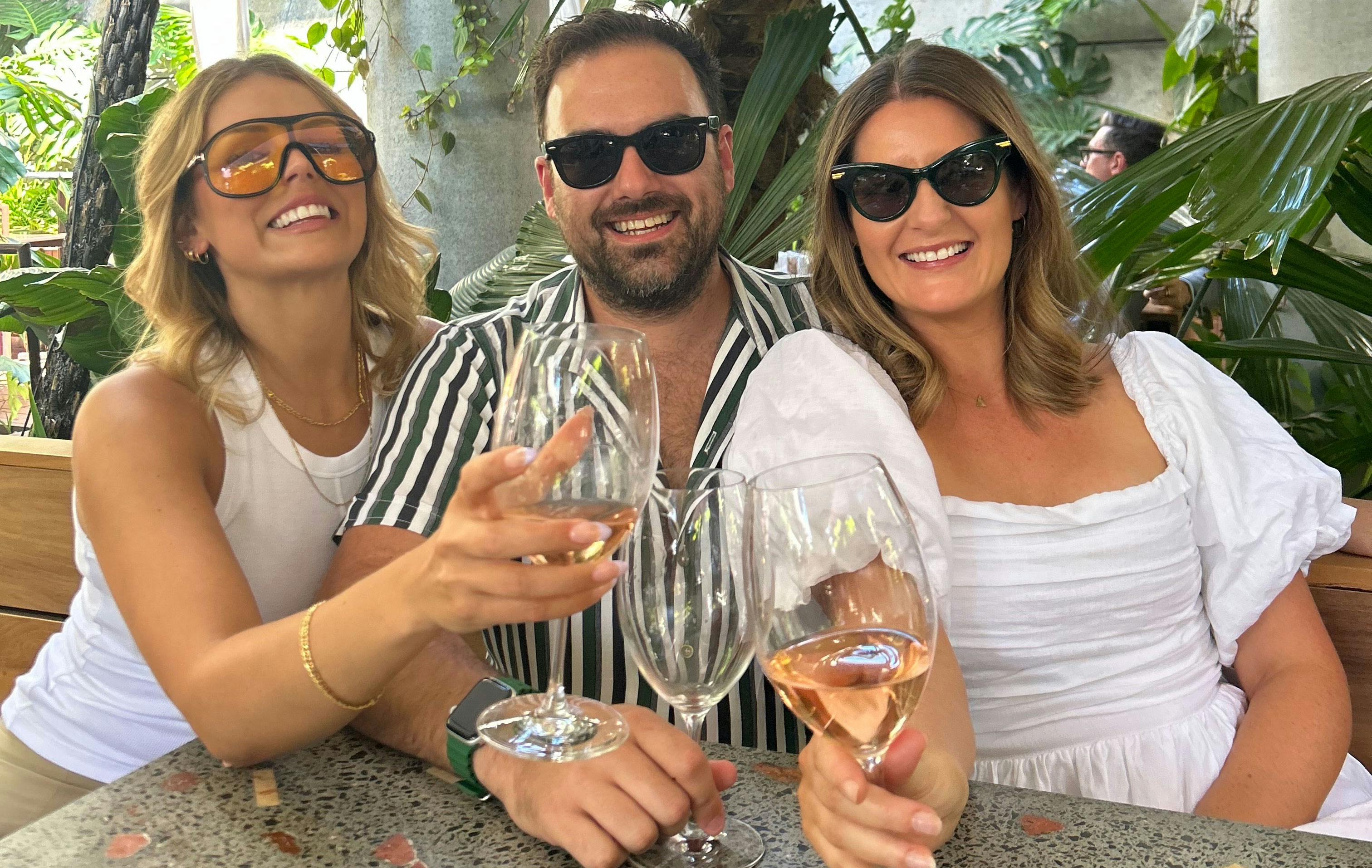 Friends cheers their wines at dinner