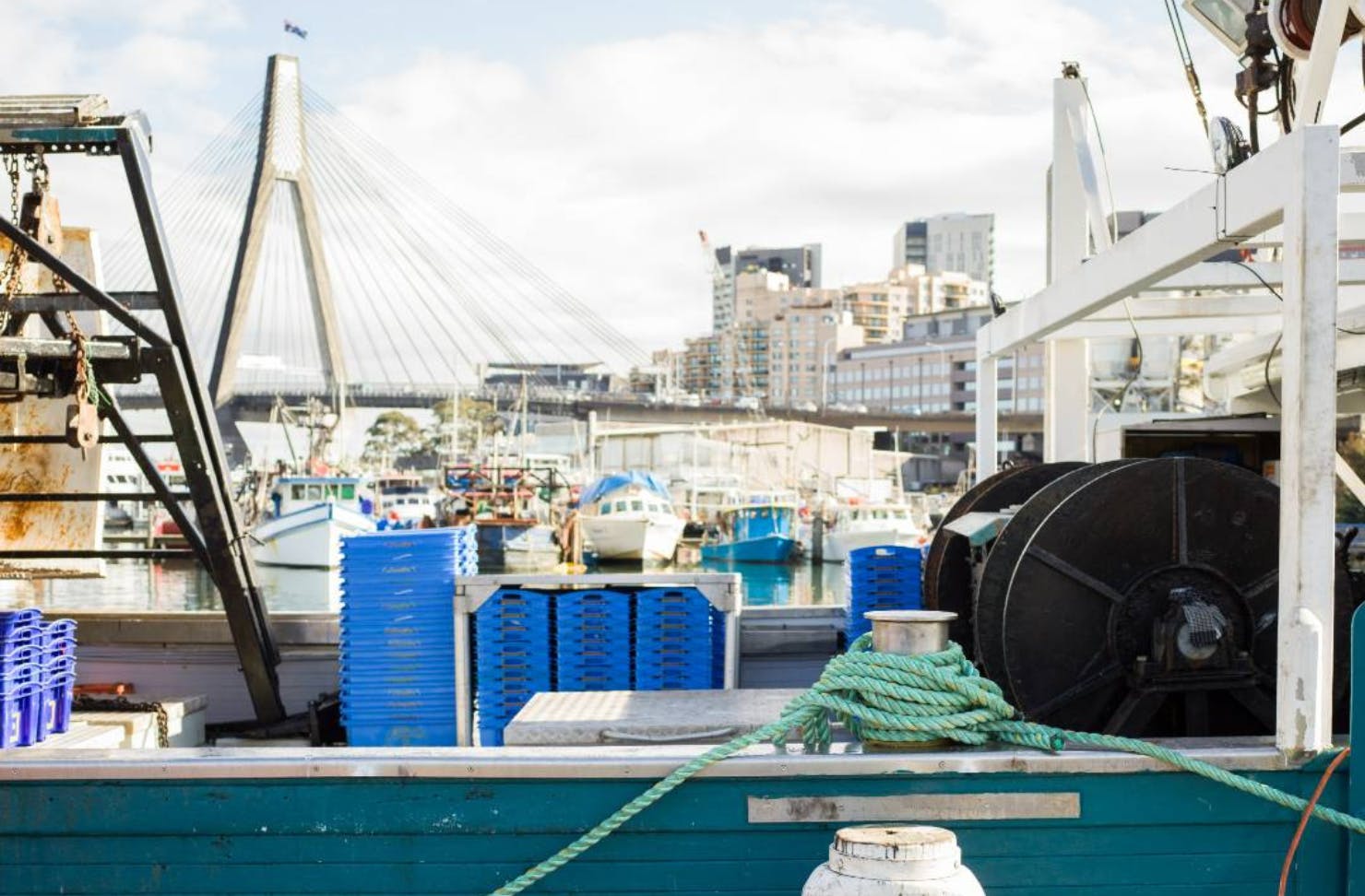 Sydney Fish Market 2.0