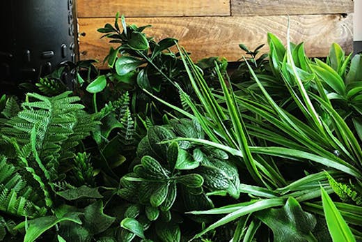 flock fit gym newstead