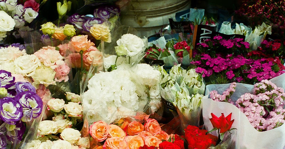 Best Flower Delivery Services In Melbourne 2023 URBAN LIST MELBOURNE