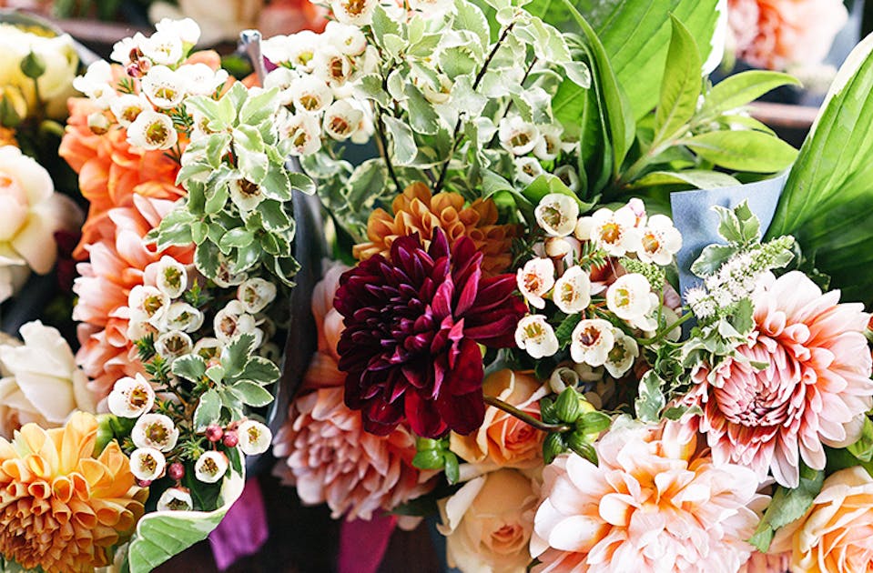 A Huge $1 Flower Sale is Hitting Sydney | URBAN LIST SYDNEY