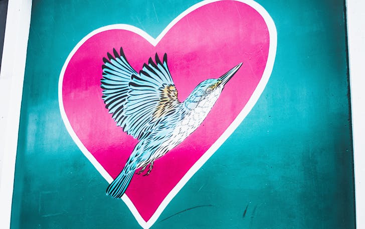An image of a blue kingfisher on a pink heart drawn on the side of a building in Christchurch.