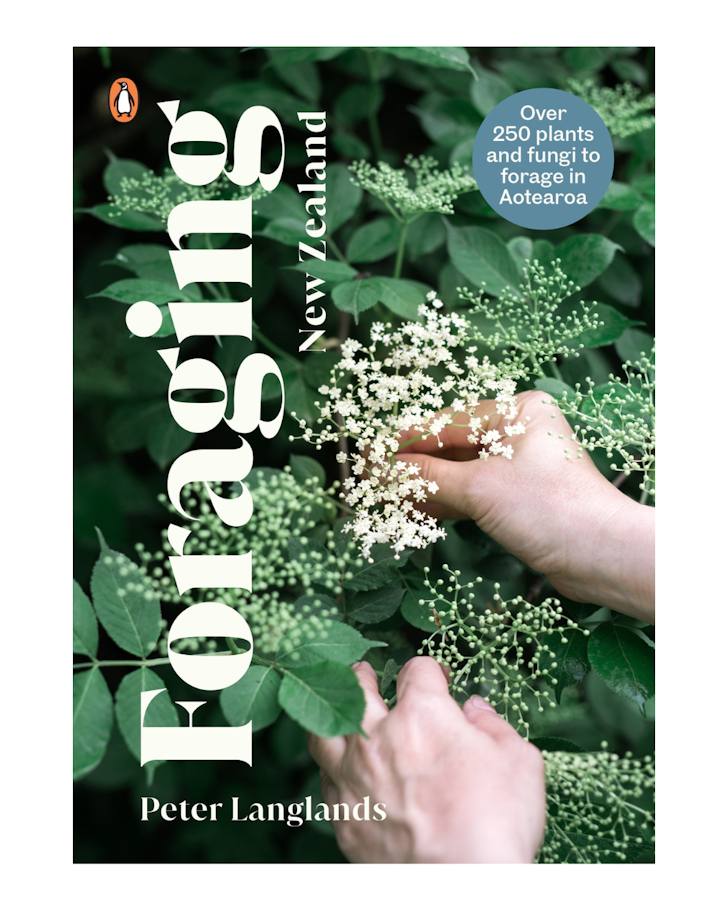 Green plants and a pair of hands on the cover of 'Foraging New Zealand'.