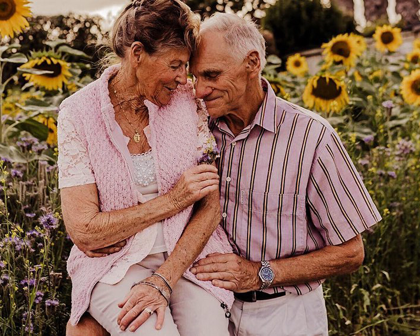 Sunflower Farm North Brisbane Best Flower Site