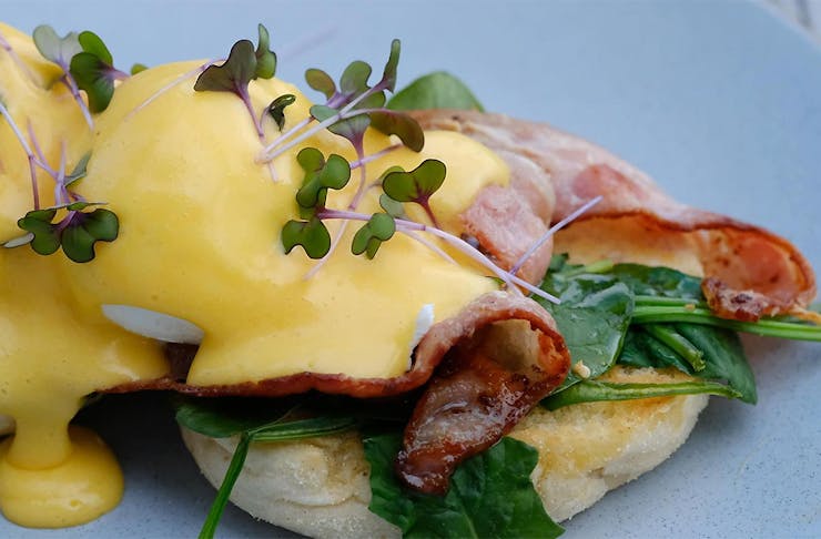 Delicious Eggs benedict on muffin with bacon and spinach on a blue plate.