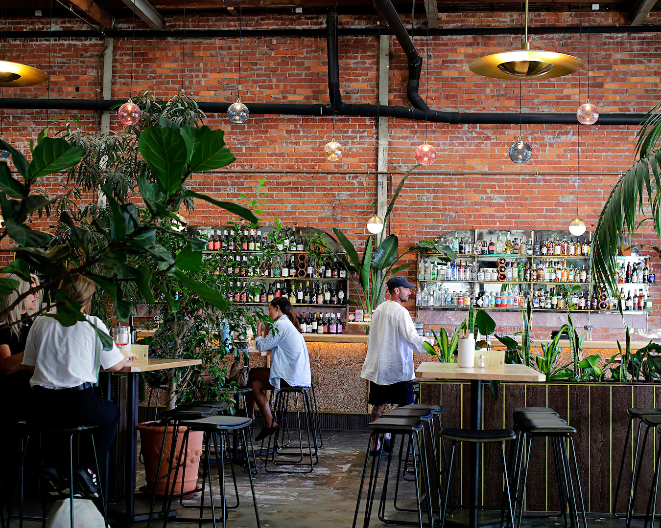 A lush new plant-filled bar in Fremantle