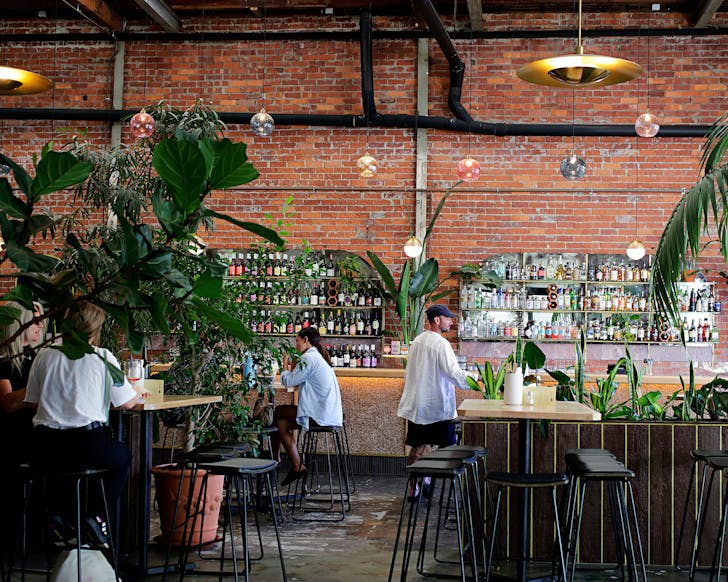 A lush new plant-filled bar in Fremantle