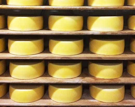 fromart-cheese-sunshine-coast