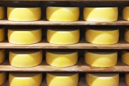 fromart-cheese-sunshine-coast